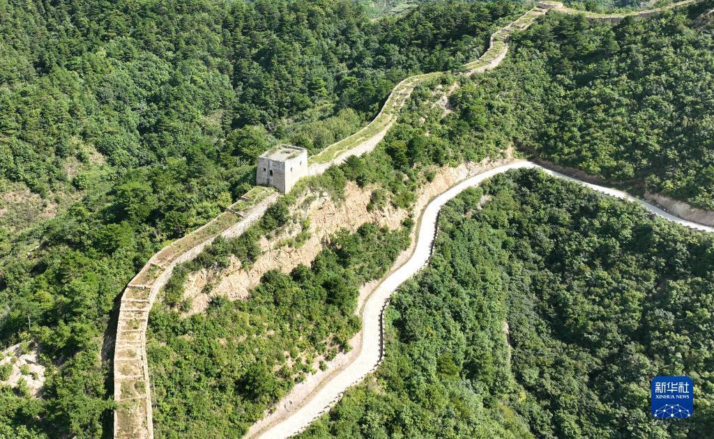 小太阳网登陆